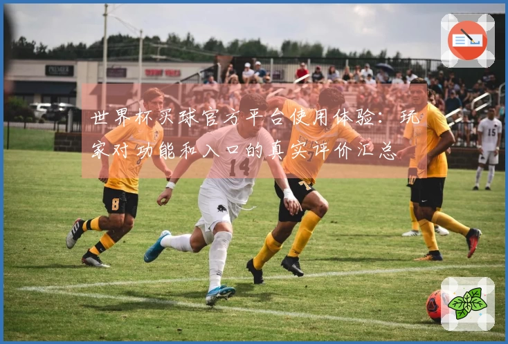 世界杯买球官方平台使用体验：玩家对功能和入口的真实评价汇总