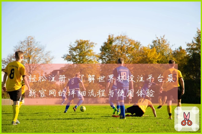轻松注册，了解世界杯投注平台最新官网的详细流程与使用体验