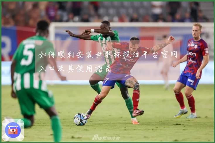 如何顺利安装世界杯投注平台官网入口及其使用指南